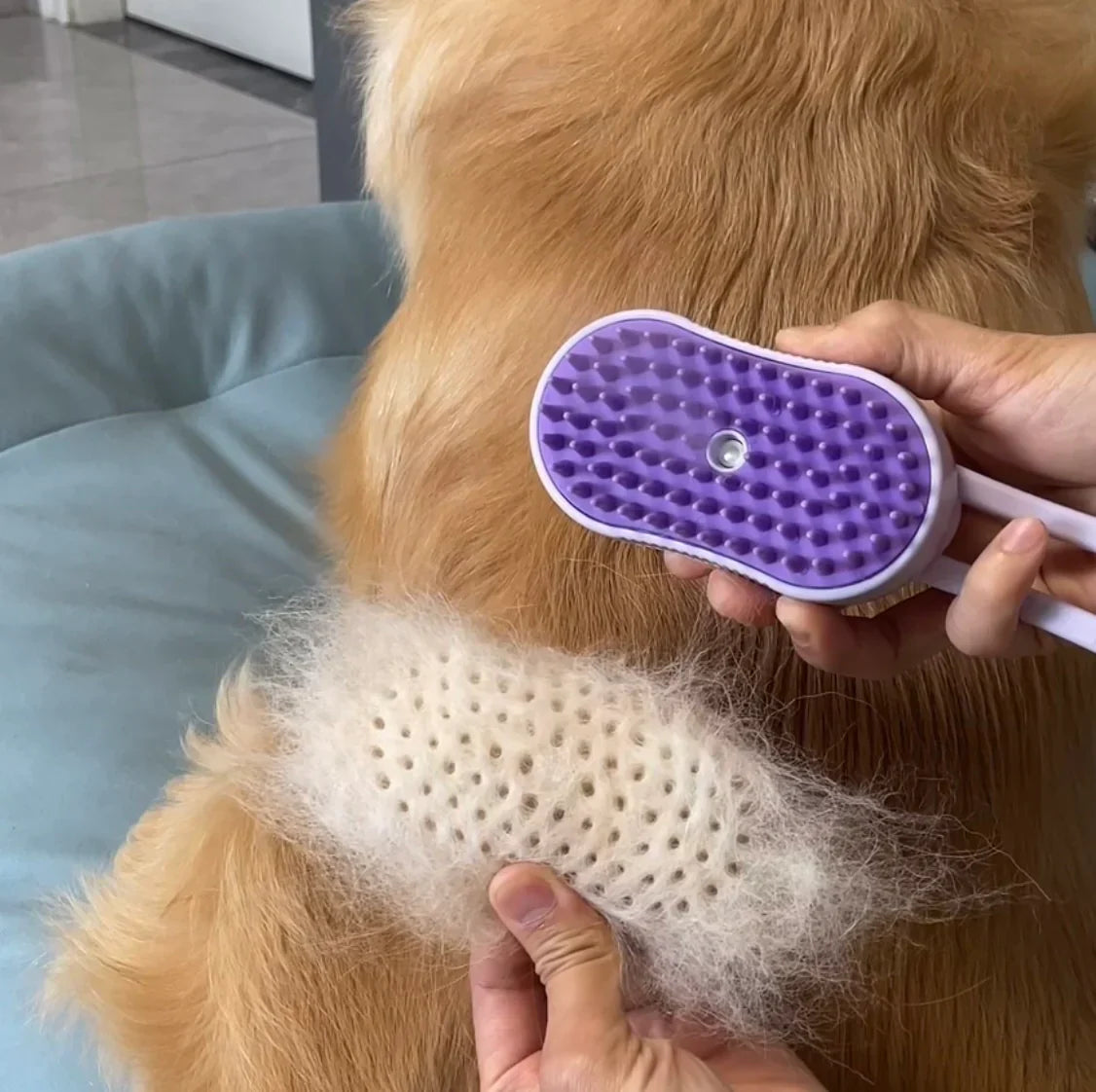 3In1 Pet Brush