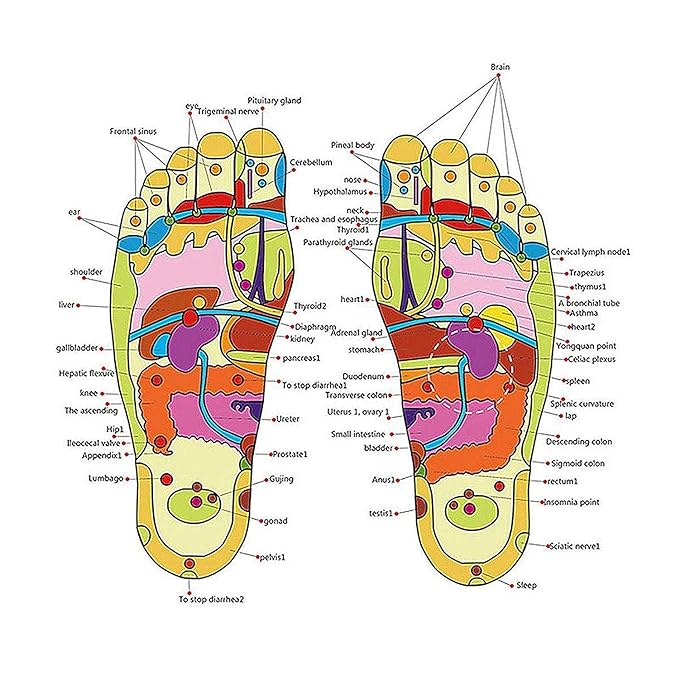 Natural Massager Flip-Flops